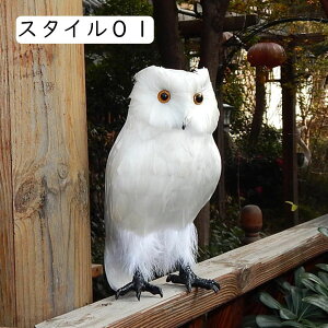 tNE tNE  YQ   ӂӂ ʂ zCgf[ 킢 _炩 i u j bNX LO A ʔ v[g YQӂӂ