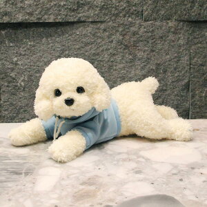 ʂ   efBEhbO  킢 ӂӂ 炩 YQ  NbV X^C05   v[g u X CeA 35cm ʔM