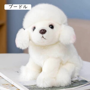  ʂ |jA  gxs[ YQ  ӂӂ y ₷ hƒʋCǂ Mtg 25cm av[g  A |jA  