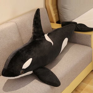 V`̂ʂ 傫 NbV  ʂ V`   tt o^Cf[ q ޏւ̃Mtg av[g ubN j Aj} YQ 