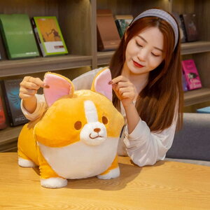 R[M[  Ck ʂ A  ybg   j̎q ̎q Aj}  YQ NbV  oYj uE D CeA ʂ ii