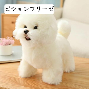  v[h rVt[[  ʂ   CeA j v[gAj}  YQ  A   24*16*26cm _炩 v[g