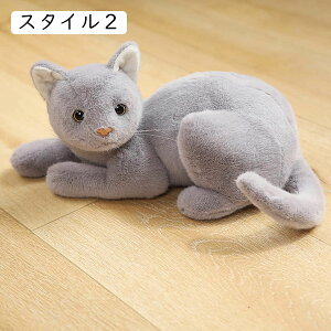 ˂ Lʂ  Aj} D NbV v[g ܂   YQ ʂ Q  Mtg Vv oYj RXv 33cm C