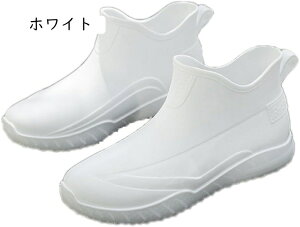 Cu[c Y CV[Y Xj[J[ JC y  V[gu[c h C V[g Lb`V[Y Jp hV[Y _ ނ ƌC ~J 䕗 JWA 