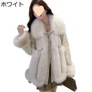 vW fB[X ~ t@[lbN h  pb`[N t@[R[g U[WPbg N PUU[ Xibv R[g ~WPbg AE^[ IV oCNEFA 