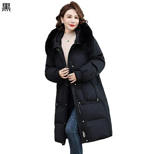 _EWPbg fB[X t@[tt[h _E OR[g WPbg AqH EgCg  g gbvX H~ y _ ۉ s t@bV Vv