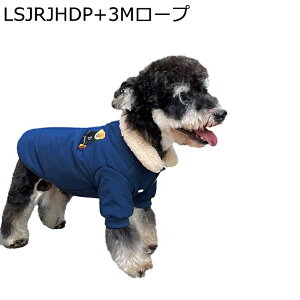 ̕  ~ ȕ N {A [vnO\  L g ^Ngbv ybgEFA H~ ӂӂ g ۉ  킢 ^ hbOEFA xXg m