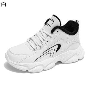 NуXj[J[ Y nCJbg ^C g ۉ {AV[Y EB^[V[Y Xm[V[Y ~C h ɂ H~C X|[cn ƒ ʋ ʊw o oCN