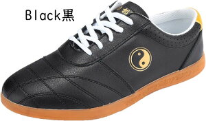 p̌CYpJt[ɌCÓTIȒ̃LoXJt[V[Y