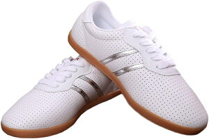 Y fB[X Ɍ Xj[J[ ɐ} pC ^C Kp 