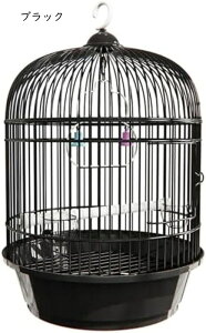   ۂ P[W O  ~܂ JS WIJ ZLZCCR IJCR IE O   o[hP[W   |[^u IEP[W  CRP