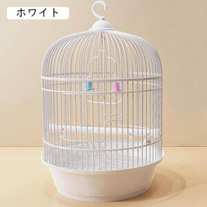   ۂ P[W O  ~܂ JS WIJ ZLZCCR IJCR IE O   IEP[W  ̑   CRP[WW o[hP[