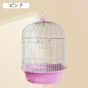 IJCR P[W ی^  GT o[hP[W nht  P[W  Ƃ肩 CeA  ^  ړ  ꂩ񂽂  P[W P[W 䟭