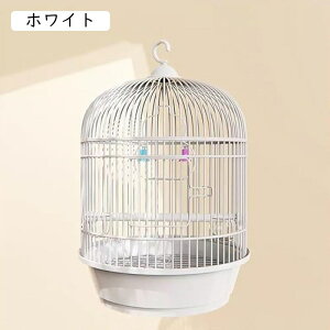 IJCR P[W ی^  _F o[hP[W nht  P[W  Ƃ肩 CeA  ^    P[W Zbg CRP[W ړ  P[W