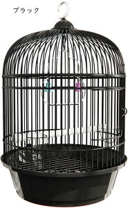   ۂ P[W O  ~܂ JS WIJ ZLZCCR IJCR IE O   IEP[W  ̑   CRP[WW o[hP[