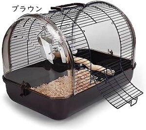   L[P[W UP[W CR P[W o[hQ[W ^   P[W P[W ̑ Oo   P[W p ^ t pi gݗ