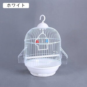  _F o[hpi o[hP[W XeX CRP[W X`[  P[W Eh ZLZCCR P[W ϋv  P[W   Zbg  L[ P[W IJC