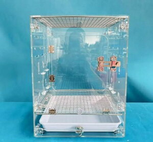 ANƒpϏ܏^{BvX`bNw ͂ˊDh܂  CR  P[W CR AƂ肩  AƒpANo[hP[WA傫ȓȃIE