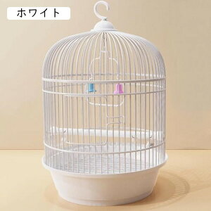   ۂ P[W O  ~܂ JS WIJ ZLZCCR IJCR IE O   IEP[W  ̑   CRP[WW o[hP[