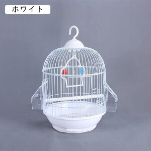  _F o[hpi o[hP[W XeX CRP[W X`[  P[W Eh ZLZCCR P[W ϋv  P[W  P[W  IJCR  Zbg 