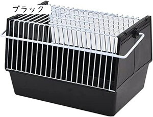  P[W o[hQ[W pUP[W  o OoU ̗sP[W o[hLA ̊OoobN ybgobO at ybg ł 