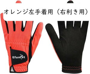 StO[u Y 蒅piEpj St tBbg ʋC h ϋv }CNt@Co[