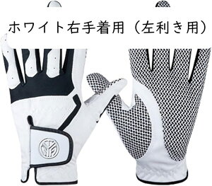 StO[u Y 蒅piEpj St tBbg ʋC h ϋv }CNt@Co[