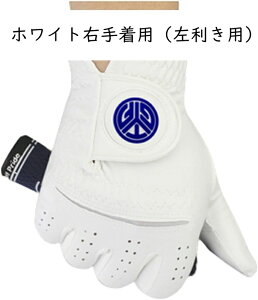 StO[u Y 蒅piEpj St tBbg ʋC h ϋv }CNt@Co[