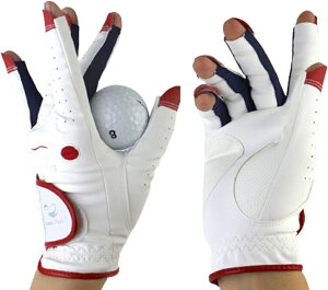 StO[u fB[X p St tBbg ʋC h ϋv vXrv