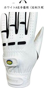 StO[u Y 蒅piEpj St tBbg ʋC h ϋv }CNt@Co[