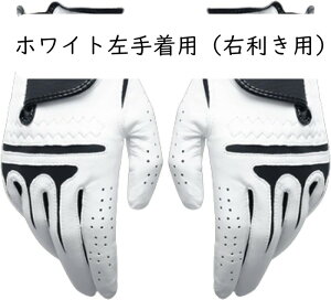 StO[u Y 蒅piEpj St tBbg ʋC h ϋv vXrv