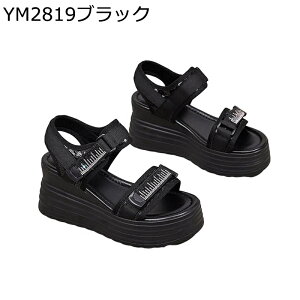 bNXT_ fB[X T_ y ₷ r  ʋ  I[vgD É gAbv r[` }WbNe[v EH[LO  JWA ėp v