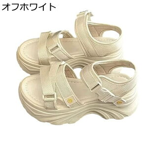 bNXT_ fB[X T_ y ₷ r NbV  ʋ  I[vgD É gAbv r[` Xj[J[ EH[LO  JWA  ϋv