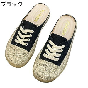 GXph[ Xbp LoXV[Y ƂȂ fB[X  W[g ʋC ₷ y JWA EH[LO Op ʊw RtH[gV[Y ~ t 