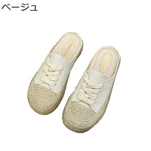 GXph[ Xbp LoXV[Y ƂȂ fB[X  W[g ʋC ₷ y JWA EH[LO Op ʊw RtH[gV[Y ~ t 