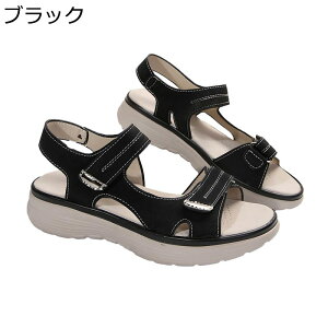 Xj[J[T_ T_ fB[X  y ₷ r  Xgb` I[vgD É ԗ gAbv r[` EH[LO U t@bV Vv 