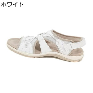 Xj[J[T_ T_ fB[X  y ₷ r Vv I[vgD RۖhL gAbv y h ԗ r[` EH[LO U W  