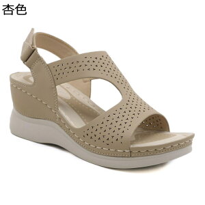 Xj[J[ T_ T_ fB[X  y ₷ EFbW\[ r  I[vgD 炩 gAbv O s x C U t@bV Vv 