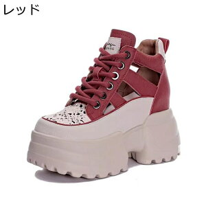 fB[X T_ Cq[  JWAV[Y ₷ y AEghA ėp r X|[c Xj[J[ ʋC h EFbWq[ ʋ  ][g