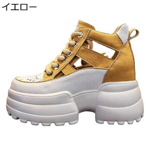 fB[X T_ Cq[  JWAV[Y ₷ y AEghA ėp r X|[c Xj[J[ ʋC h EFbWq[ ʋ  ][g