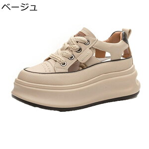 T_ fB[X  Xj[J[ AEghA ₷ y T}[V[Y   T{T_ K ʋC ~ JWA ItBX EH[LO