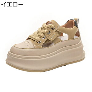 T_ fB[X  Xj[J[ AEghA ₷ y T}[V[Y   T{T_ K ʋC ~ JWA ItBX EH[LO