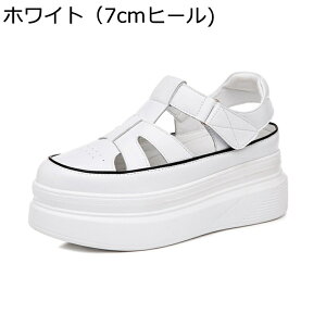 fB[X T_ JWA OfBG[^[T_ Cq[ r ₷ T}[V[Y ėp  K ʋC ~ s r[` ʋ AEghA