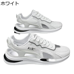 X|[cT_ hCo[T_ V[Y bV Y  Ȃ Ռz hL Ƃ 2way mXbv AEghA ʊw  ƌC LpX t@bV