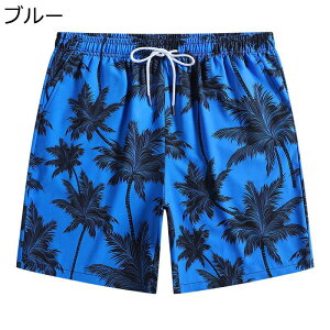  Y Cpc An Zp T[tpc  ʋC RRV Y{ t  {[hV[c X|[cV[c p r[`EFA jO Lv ނ 傫TCY