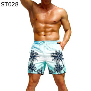  Y Zp T[tpc RRV An Cpc  ʋC Y{ tĒ X|[cV[c p r[`EFA EGXg߉\   l 傫TCY