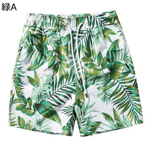 Cpc T[tpc Y t MѐA  p Zp r[`EFA nCA V[c _   EGXgSЂ Y{ ėp Ђ jO AEgh