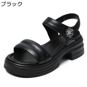 T_ fB[X U[ v Xgbv X|[c T_ ₷ ɂ T}[V[Y ėp y RtH[g Ȃ wlC s r[` ʋ AEghA