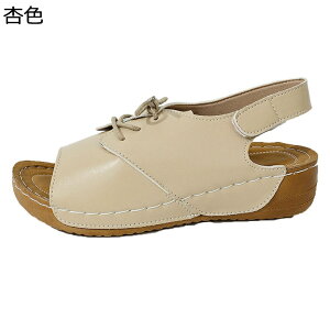 fB[X [}T_  [XAbv }WbNe[v AEghA ₷ ɂ T{T_ ėp  K Ȃ wlC fC[ ʋ ItBX s