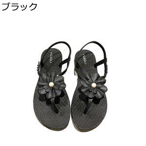 gOT_ fB[X tbg r[`T_ AEghA ₷  l킢 Ȃ wlC JWA ʋ  ][g